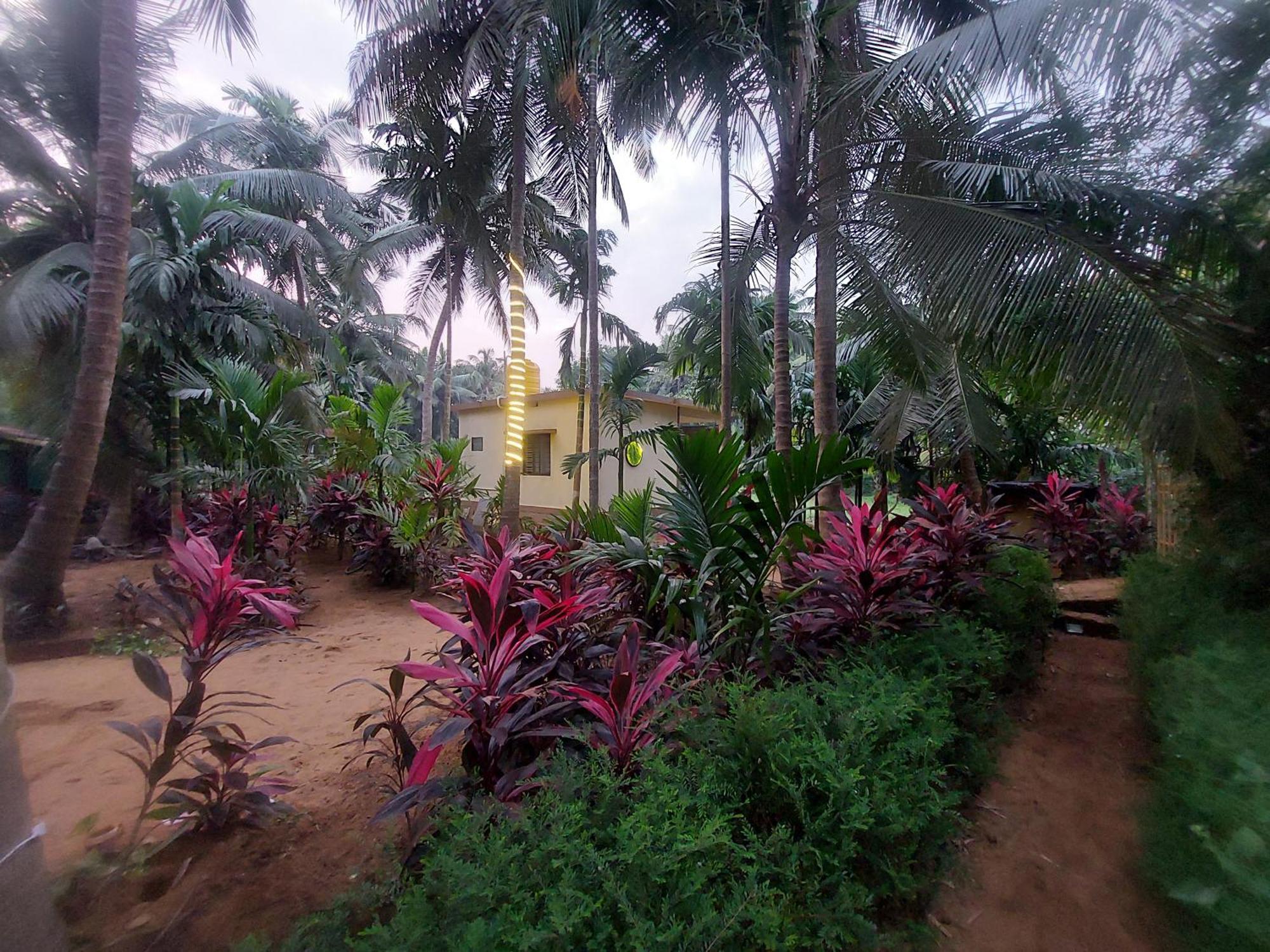 Areca Nest Villa Gokarna  Exterior foto